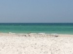 View from my chair at Manatee Beach